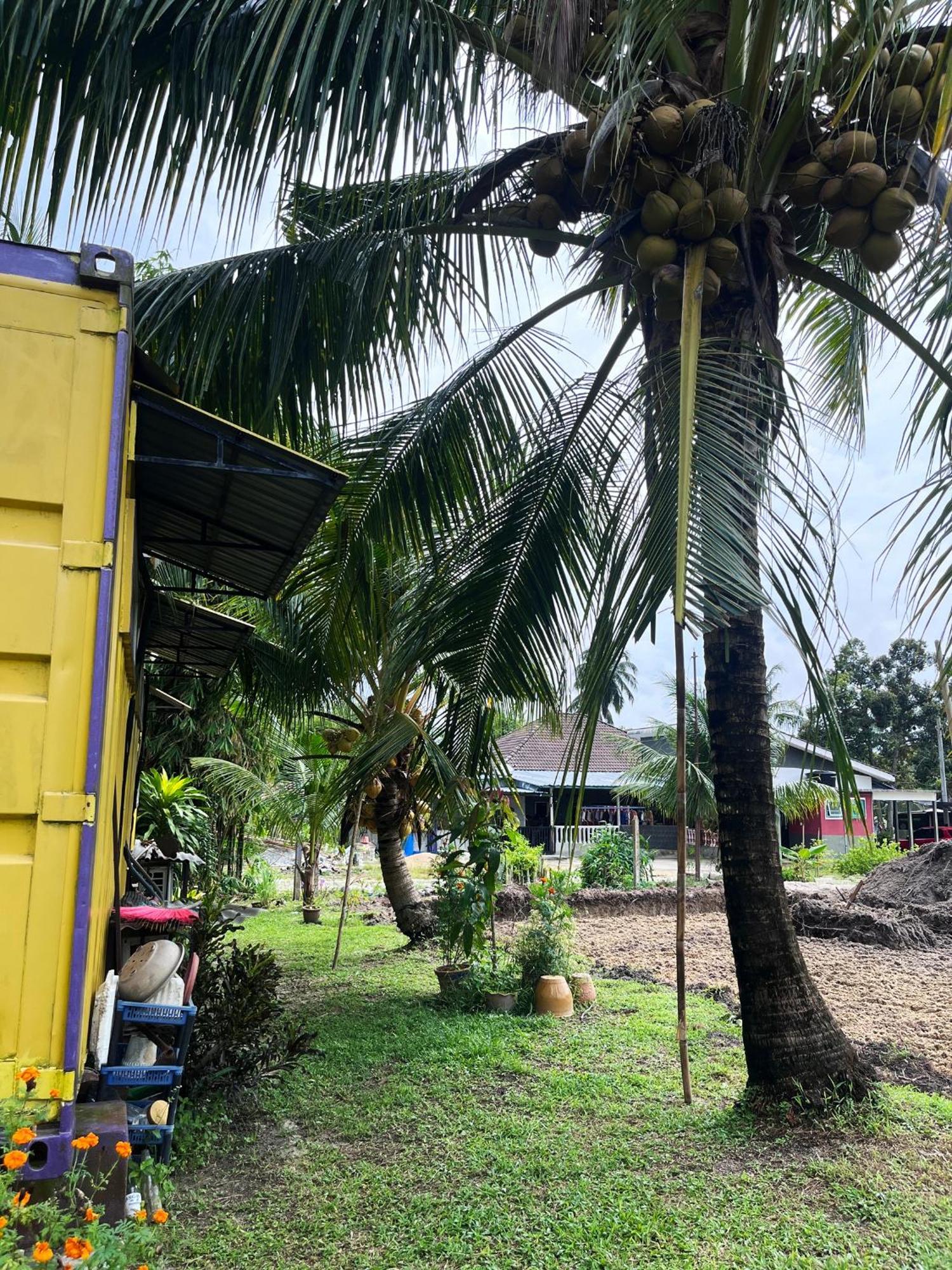 Purple Cube At Lumut Cube Homestay Kontena Kültér fotó